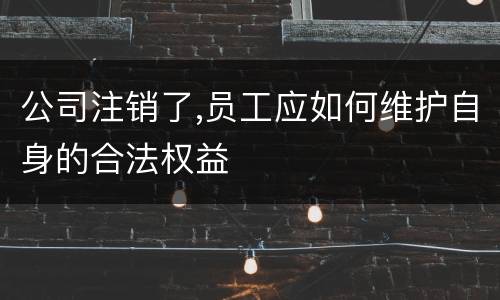 公司注销了,员工应如何维护自身的合法权益