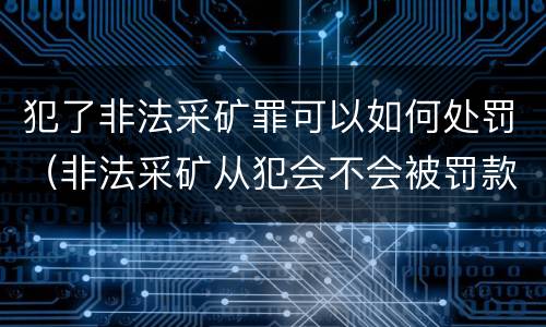 犯了非法采矿罪可以如何处罚（非法采矿从犯会不会被罚款）