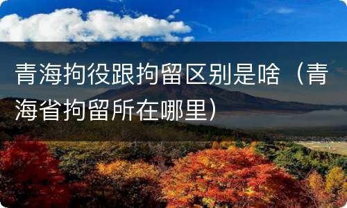 青海拘役跟拘留区别是啥（青海省拘留所在哪里）