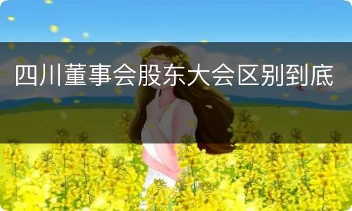 四川董事会股东大会区别到底