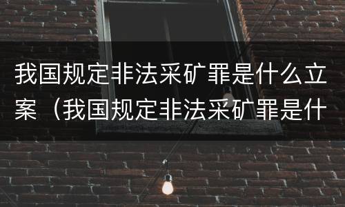 我国规定非法采矿罪是什么立案（我国规定非法采矿罪是什么立案依据）