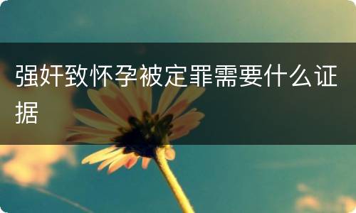 强奸致怀孕被定罪需要什么证据