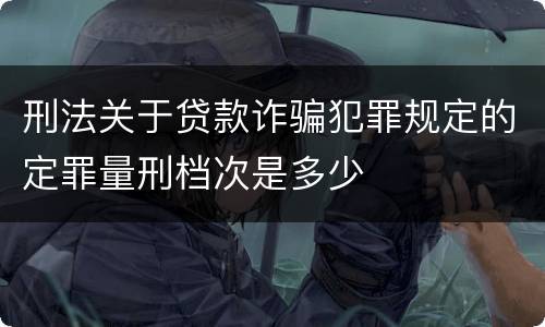 刑法关于贷款诈骗犯罪规定的定罪量刑档次是多少