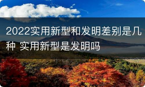 2022实用新型和发明差别是几种 实用新型是发明吗