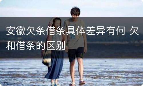 安徽欠条借条具体差异有何 欠和借条的区别