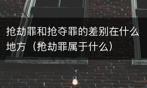 抢劫罪和抢夺罪的差别在什么地方（抢劫罪属于什么）