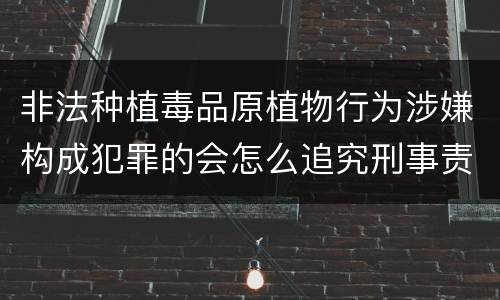 非法种植毒品原植物行为涉嫌构成犯罪的会怎么追究刑事责任