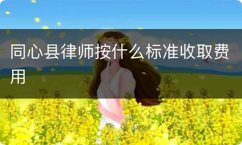 同心县律师按什么标准收取费用