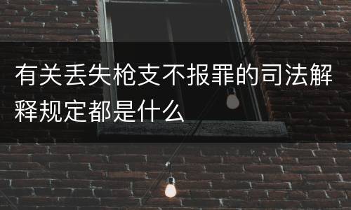 有关丢失枪支不报罪的司法解释规定都是什么