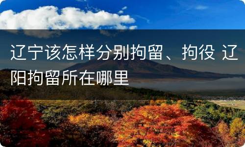 辽宁该怎样分别拘留、拘役 辽阳拘留所在哪里