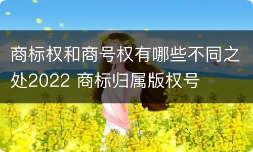 商标权和商号权有哪些不同之处2022 商标归属版权号