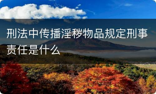 刑法中传播淫秽物品规定刑事责任是什么