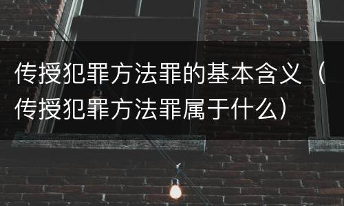 传授犯罪方法罪的基本含义（传授犯罪方法罪属于什么）