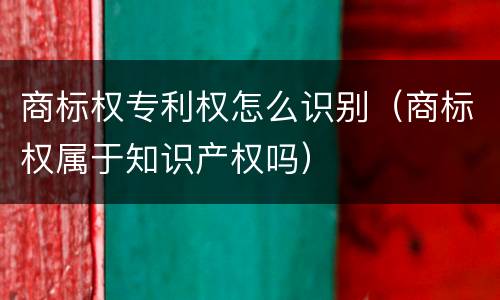 商标权专利权怎么识别（商标权属于知识产权吗）