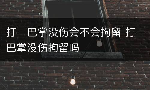打一巴掌没伤会不会拘留 打一巴掌没伤拘留吗