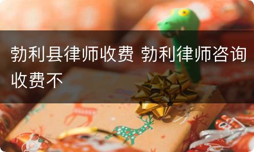 勃利县律师收费 勃利律师咨询收费不