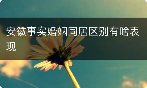 安徽事实婚姻同居区别有啥表现
