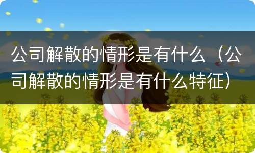 公司解散的情形是有什么（公司解散的情形是有什么特征）