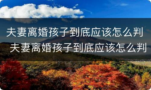 夫妻离婚孩子到底应该怎么判 夫妻离婚孩子到底应该怎么判的