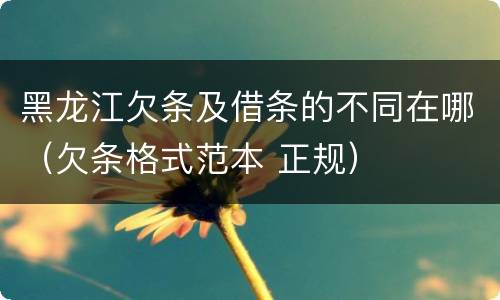 黑龙江欠条及借条的不同在哪（欠条格式范本 正规）