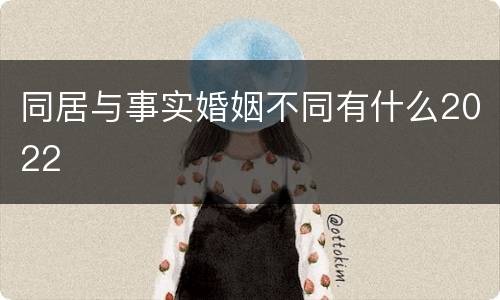 同居与事实婚姻不同有什么2022