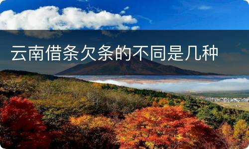 云南借条欠条的不同是几种