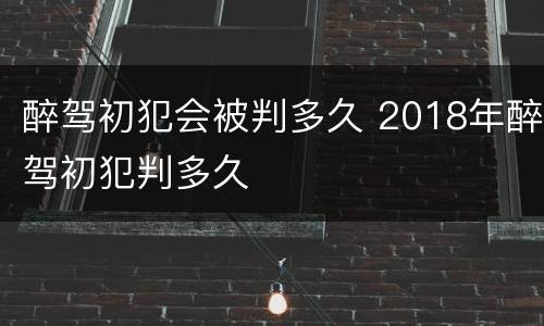 醉驾初犯会被判多久 2018年醉驾初犯判多久