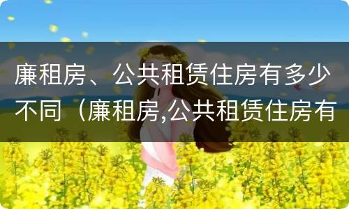 廉租房、公共租赁住房有多少不同（廉租房,公共租赁住房有多少不同的区别）