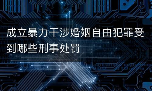 成立暴力干涉婚姻自由犯罪受到哪些刑事处罚