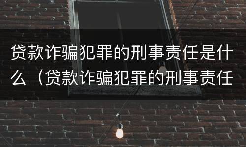 贷款诈骗犯罪的刑事责任是什么（贷款诈骗犯罪的刑事责任是什么意思）