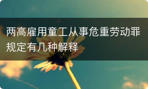 两高雇用童工从事危重劳动罪规定有几种解释
