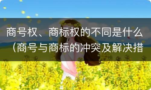 商号权、商标权的不同是什么（商号与商标的冲突及解决措施）
