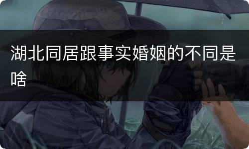 湖北同居跟事实婚姻的不同是啥