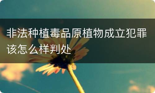 非法种植毒品原植物成立犯罪该怎么样判处