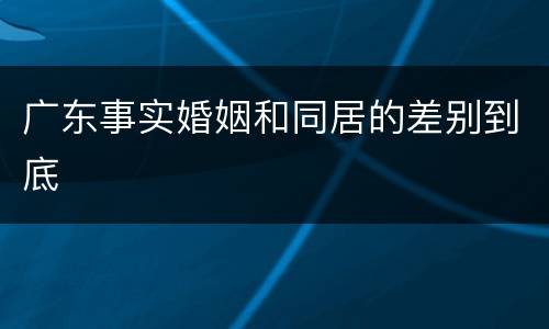 广东事实婚姻和同居的差别到底