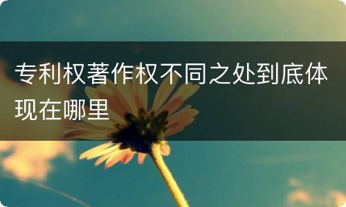 专利权著作权不同之处到底体现在哪里