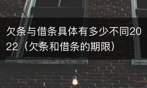 欠条与借条具体有多少不同2022（欠条和借条的期限）