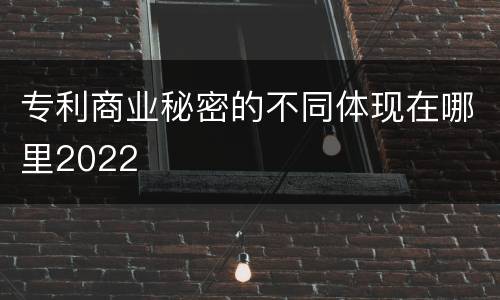 专利商业秘密的不同体现在哪里2022