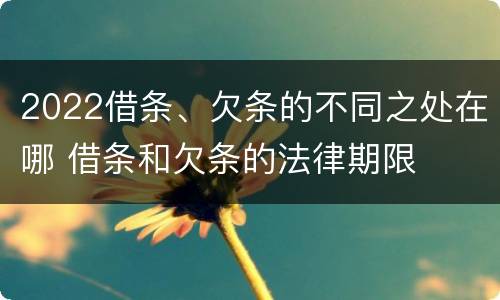 2022借条、欠条的不同之处在哪 借条和欠条的法律期限