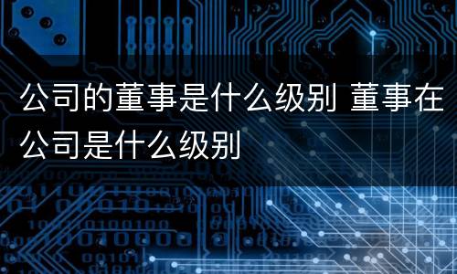 公司的董事是什么级别 董事在公司是什么级别