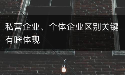 私营企业、个体企业区别关键有啥体现