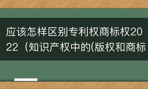应该怎样区别专利权商标权2022（知识产权中的(版权和商标权与标准）