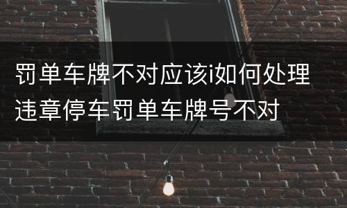 罚单车牌不对应该i如何处理 违章停车罚单车牌号不对