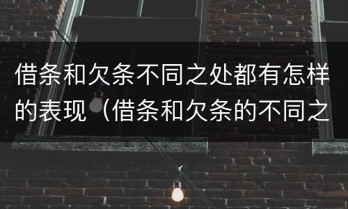 借条和欠条不同之处都有怎样的表现（借条和欠条的不同之处有哪些）