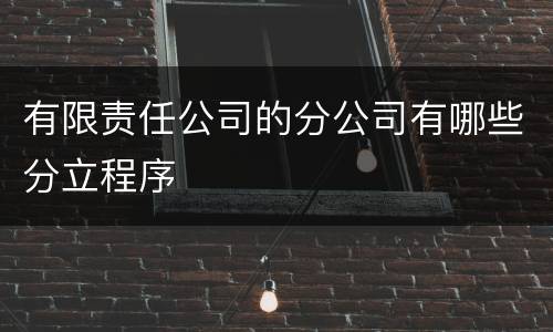 有限责任公司的分公司有哪些分立程序