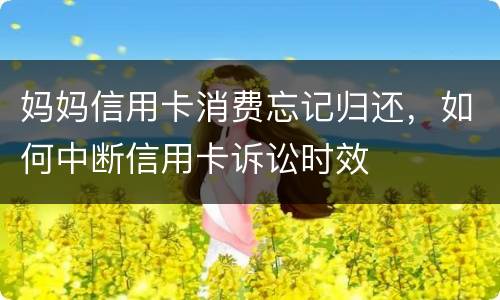 妈妈信用卡消费忘记归还，如何中断信用卡诉讼时效