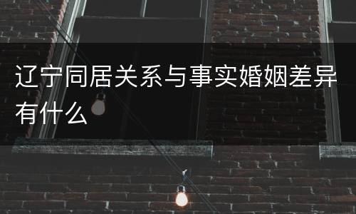 辽宁同居关系与事实婚姻差异有什么