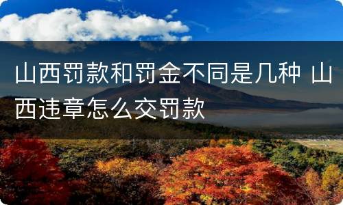 山西罚款和罚金不同是几种 山西违章怎么交罚款