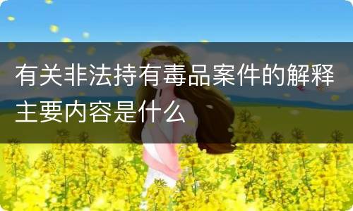 有关非法持有毒品案件的解释主要内容是什么