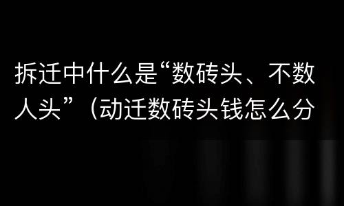 拆迁中什么是“数砖头、不数人头”（动迁数砖头钱怎么分）